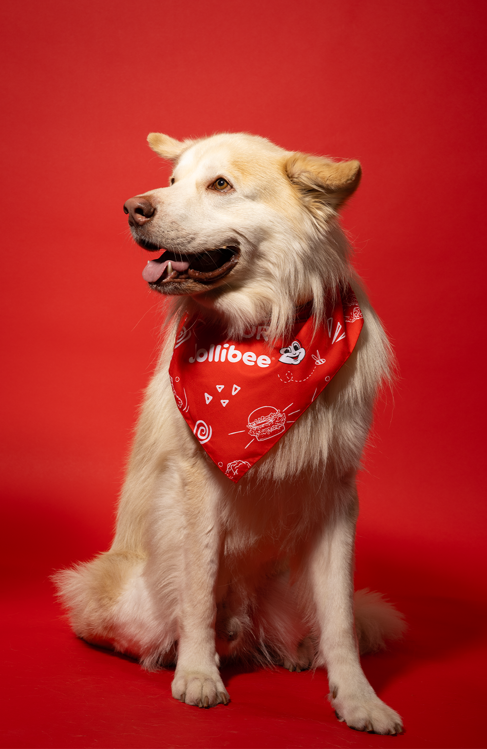 Red Dog Bandana hover figure