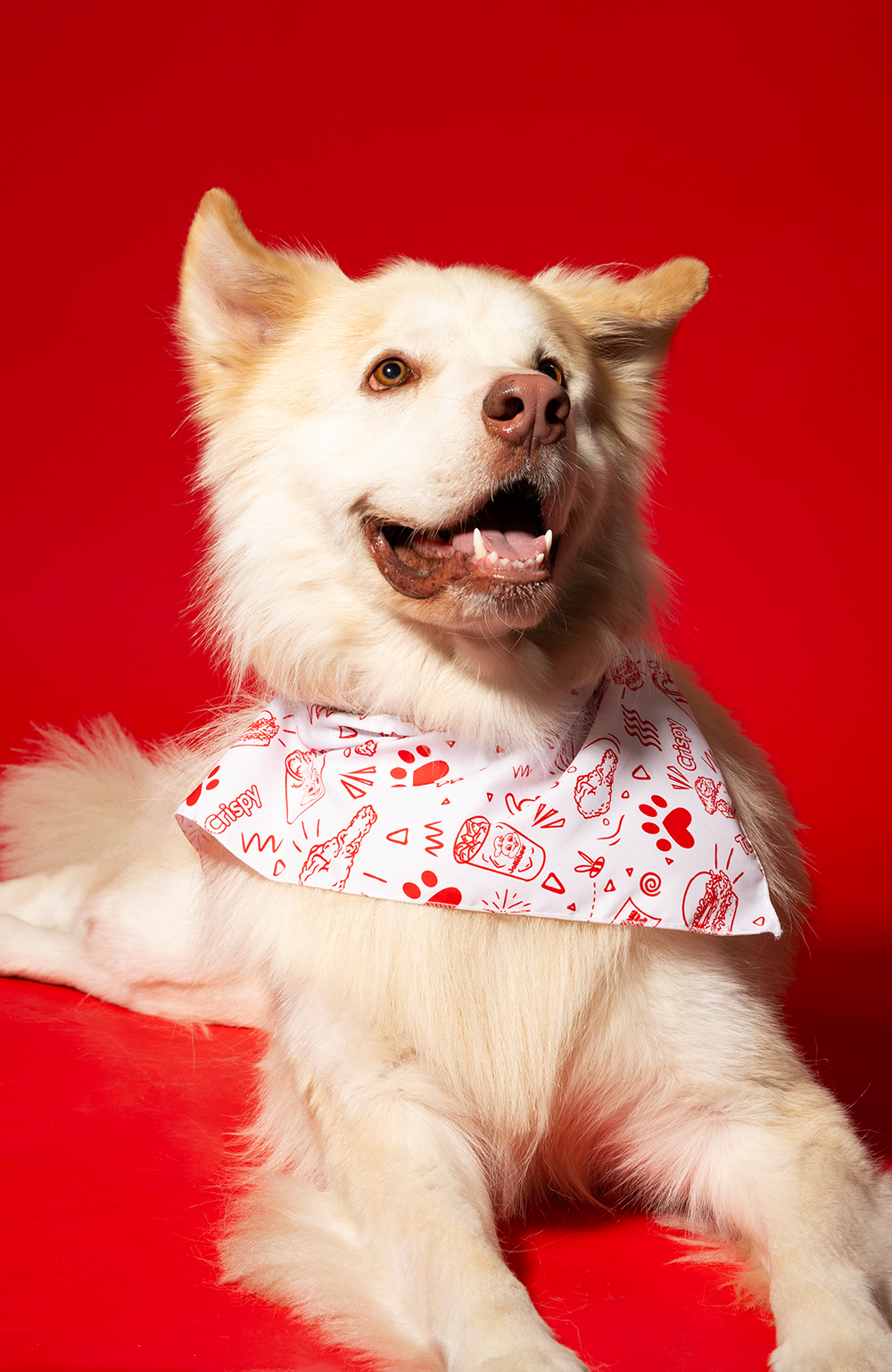 Dog White Bandana