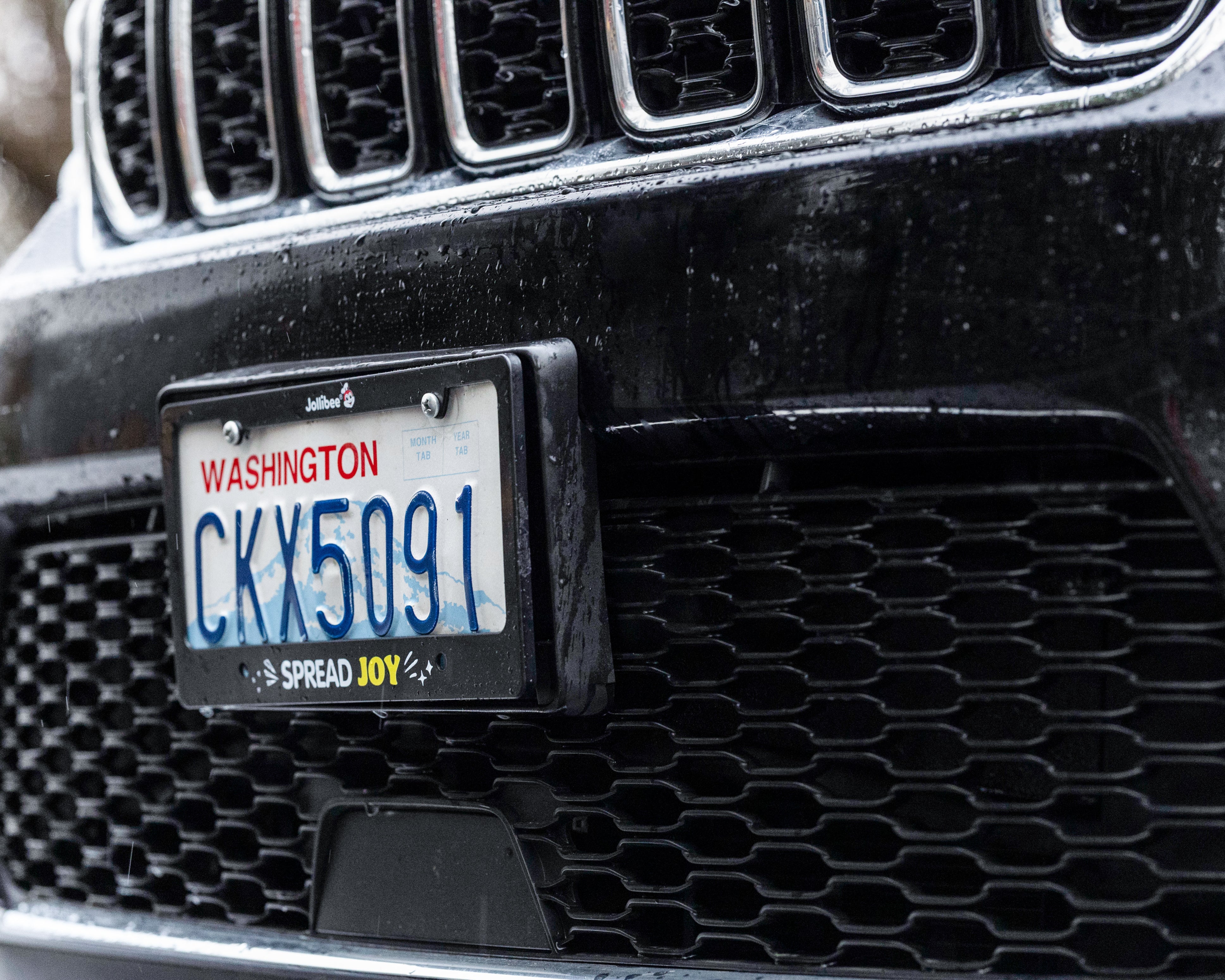 Spread Joy License Plate Cover hover figure