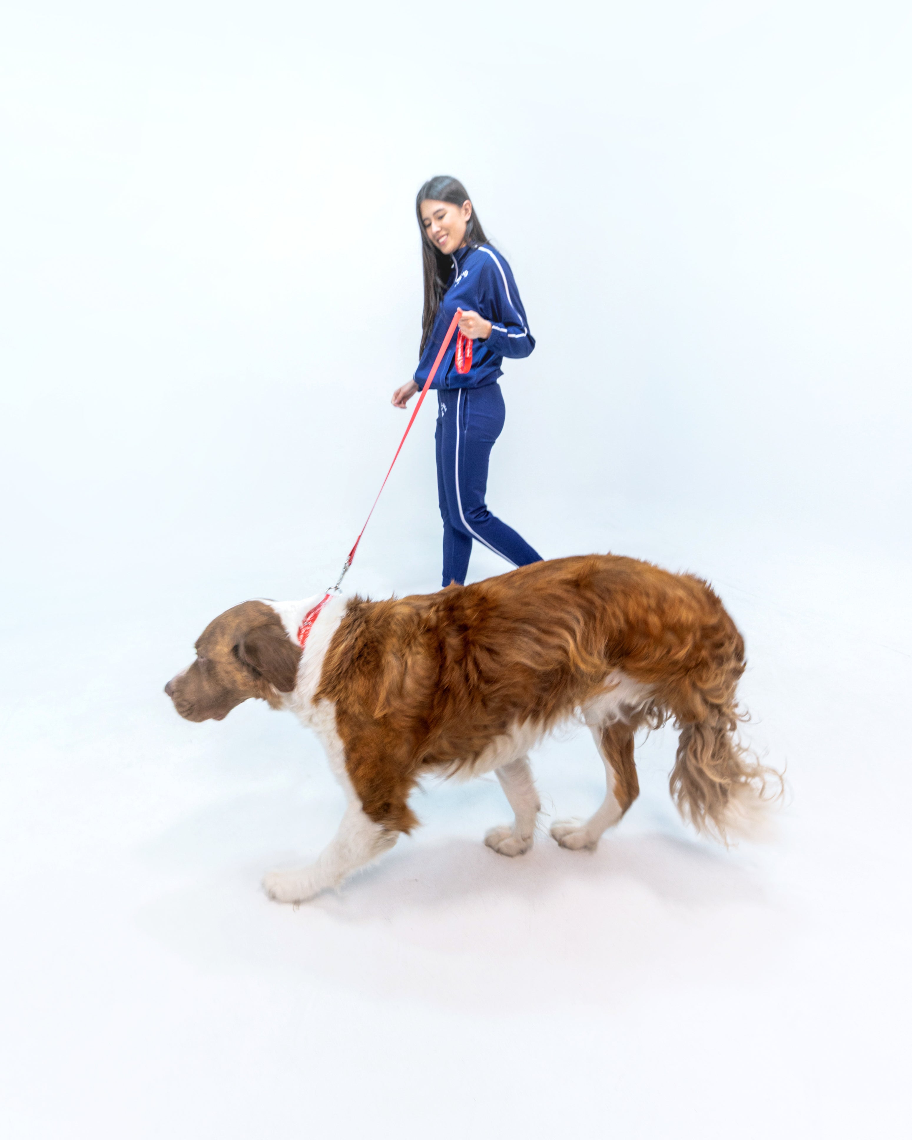 On My Way to Jollibee Dog Collar hover figure